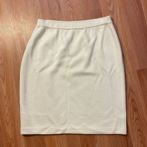 Womens St John Skirt